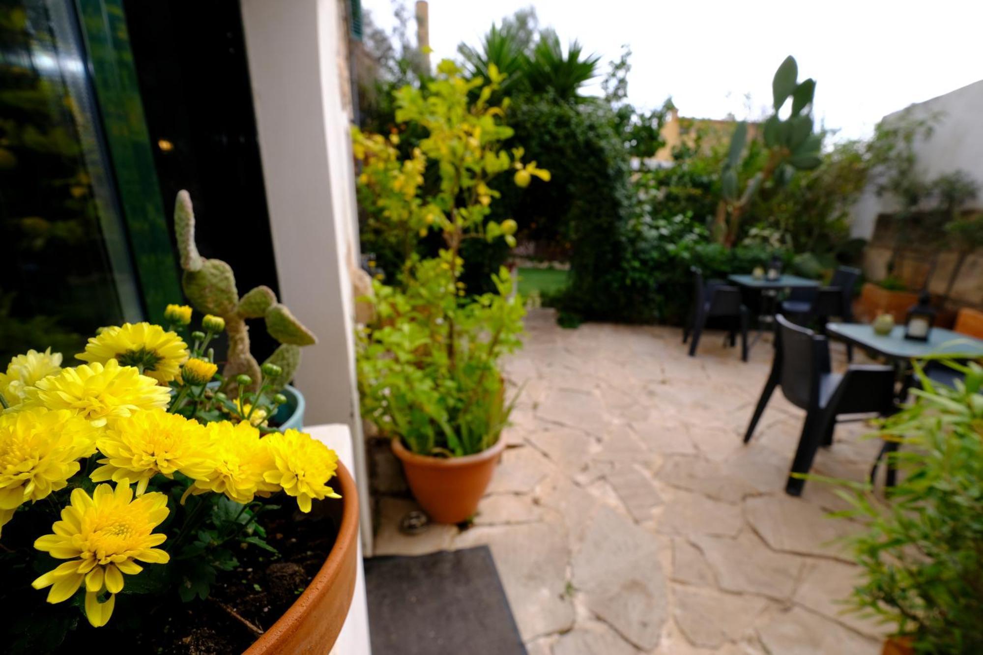 Casa Caimari Guest House, For Mountain Lovers! Dış mekan fotoğraf